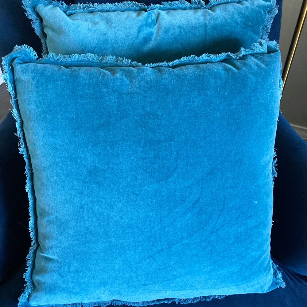 Blue Velvet Throw Pillows